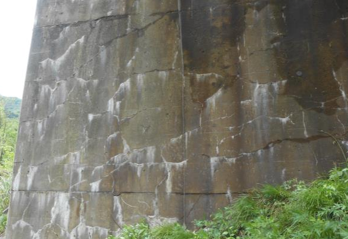 アルカリ骨材反応で白色析出物が出ている様子