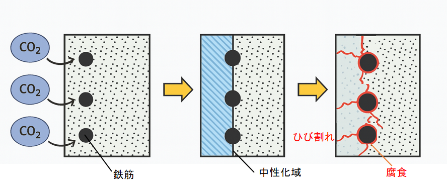 中性化の進行のイメージ図